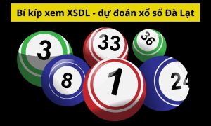 Bí kíp xem XSDL - dự đoán xổ số Đà Lạt chính xác